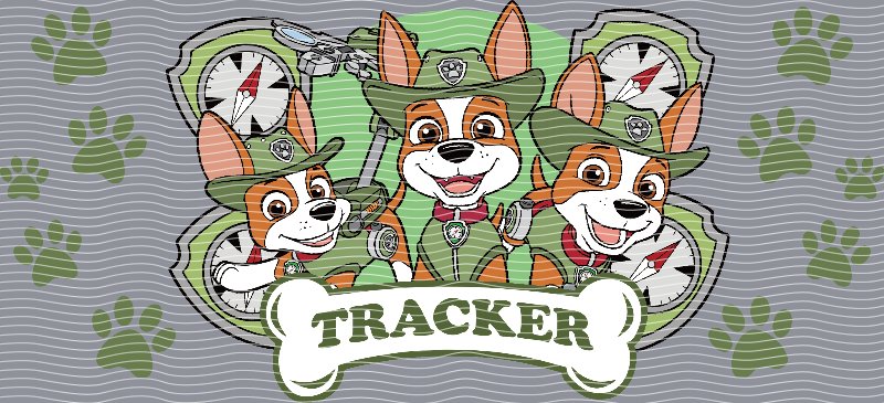 16oz Star Seller P62472
