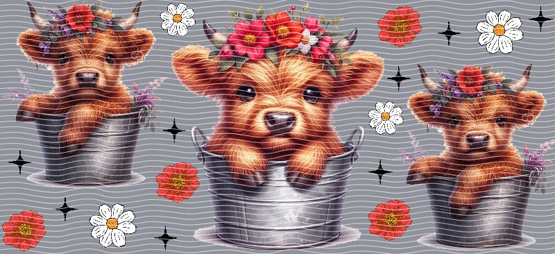 16oz Highland Cow P69295