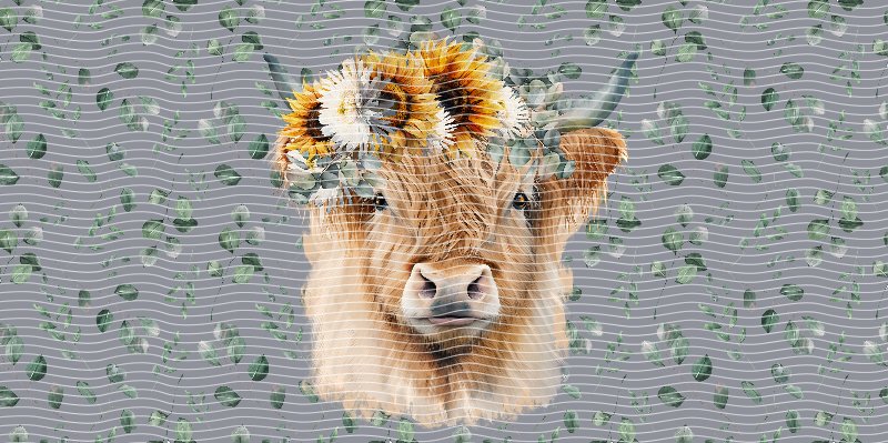 16oz Highland Cow P69404